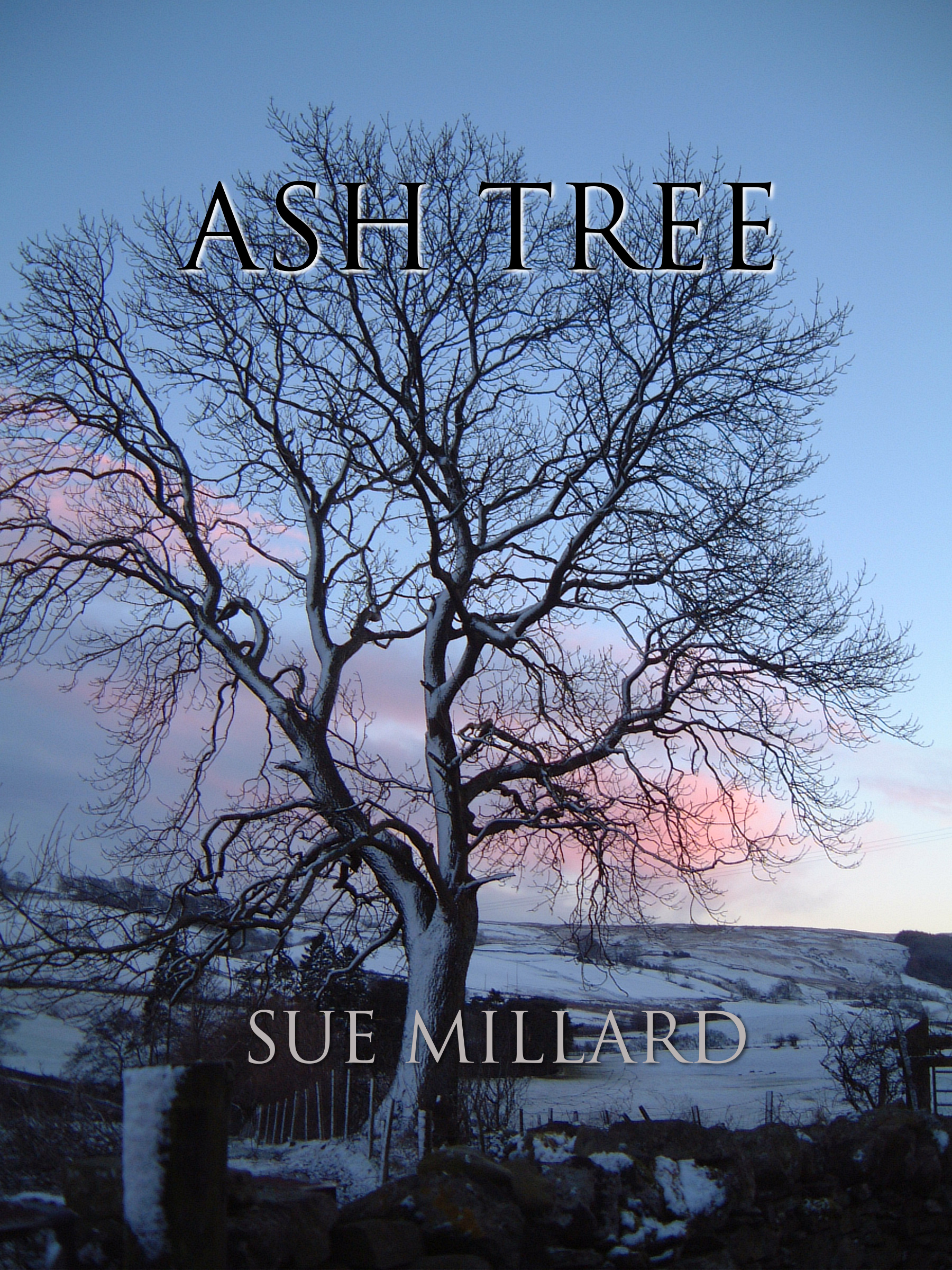 chapbook cover image of Ash Tree poetry: ash tree in snow