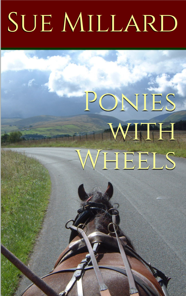 book cover - view of driving pony from the carriage, with road and mountains ahead