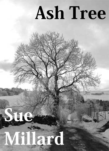Pamphlet cover "Ash Tree " - road and ash tree in snow