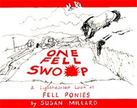 Book cover of  one fell swoop